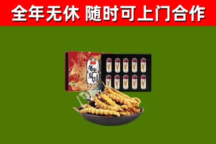 永修回收冬虫夏草价格