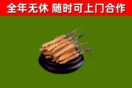 永修烟酒回收冬虫夏草.jpg
