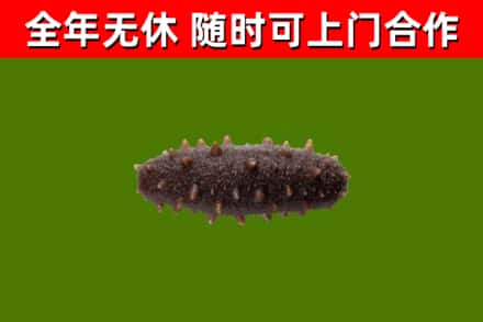 永修烟酒回收干海参.jpg